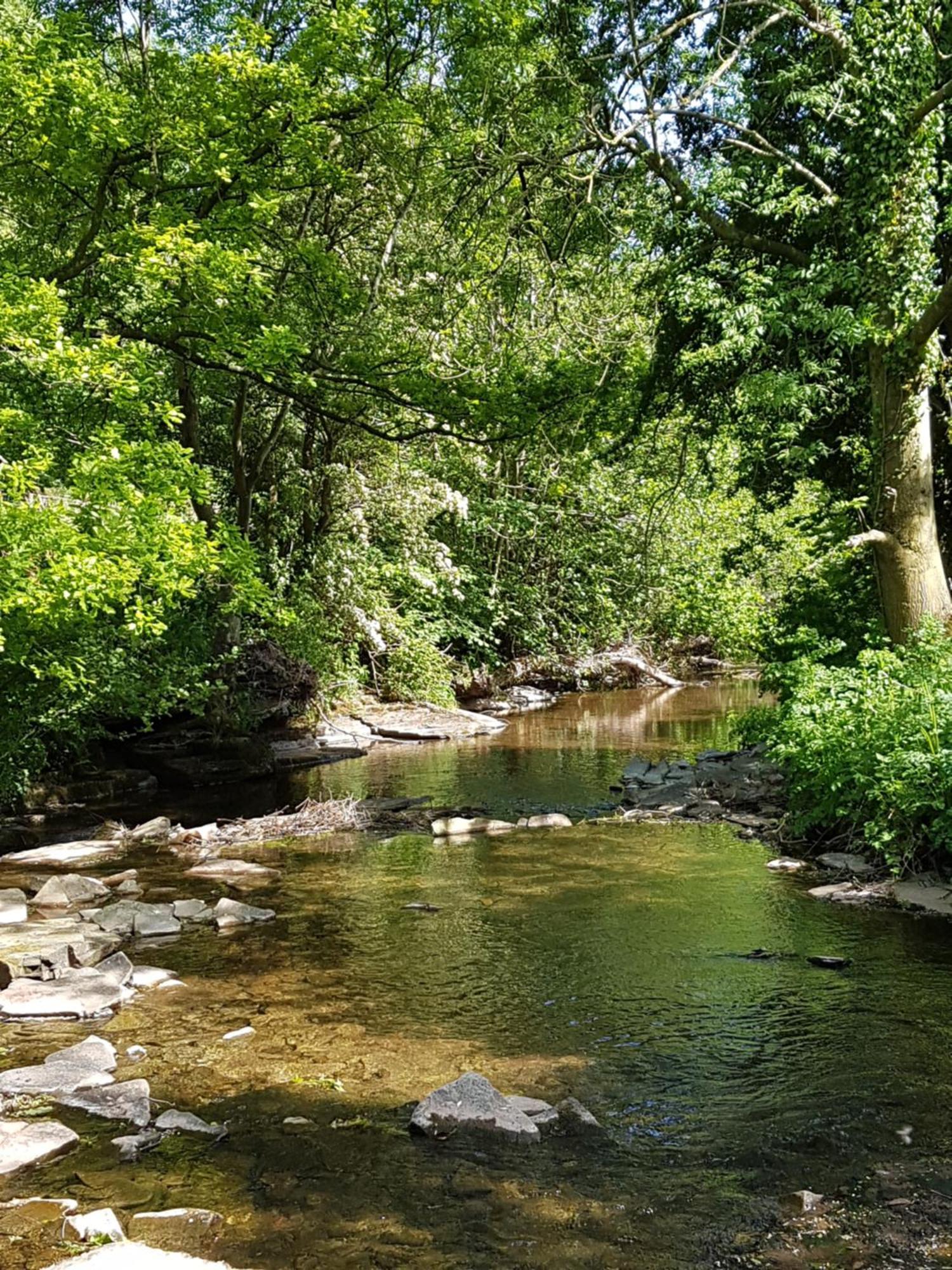 River Cottage@Cwm Mill - Riverside Family Holidays In The Black Mountains Hereford Extérieur photo